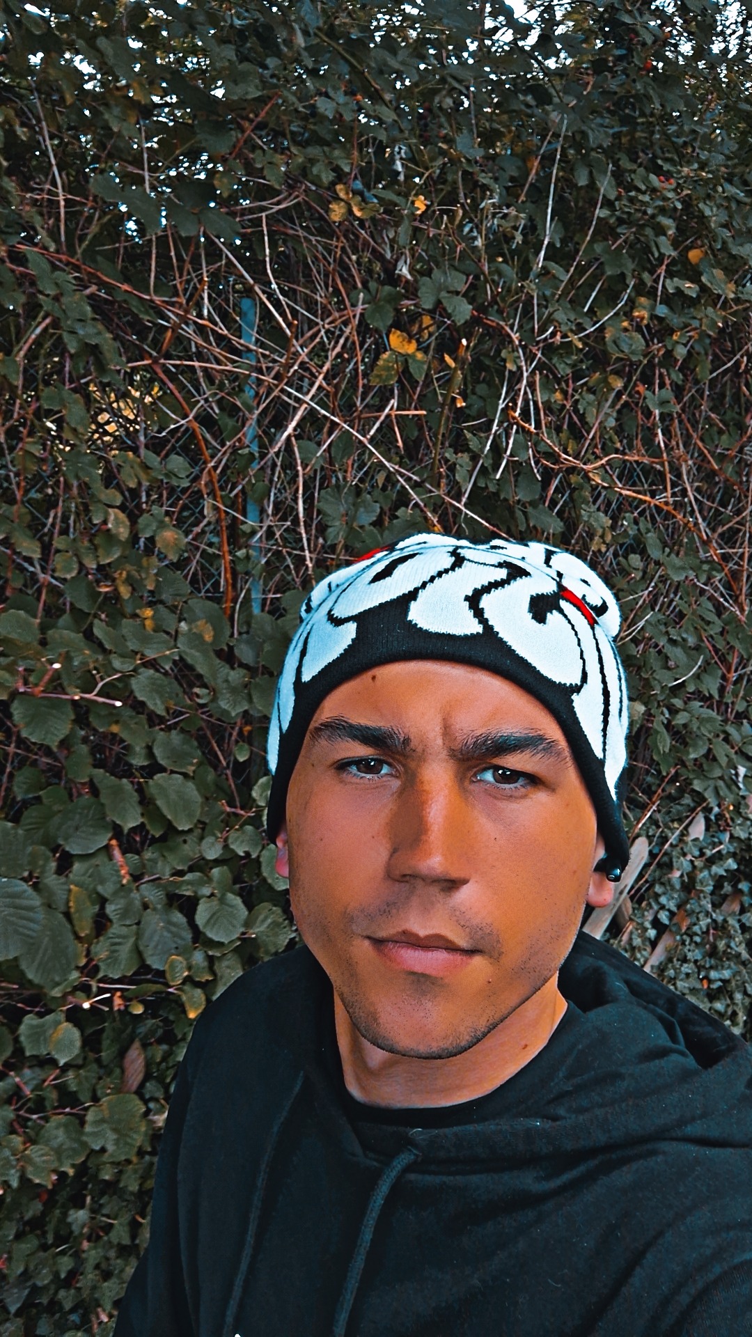 Perfil de Farid