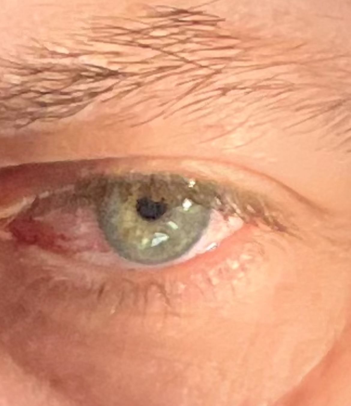 Perfil de Jean-lucien