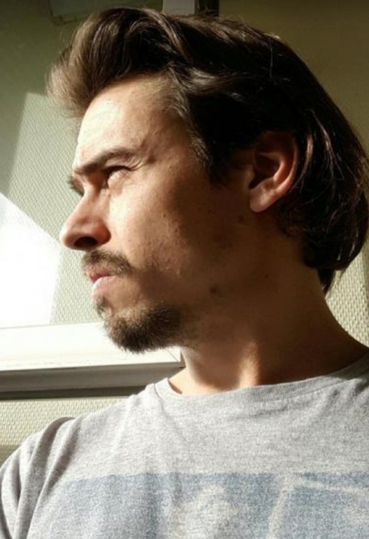 Perfil de Nelson