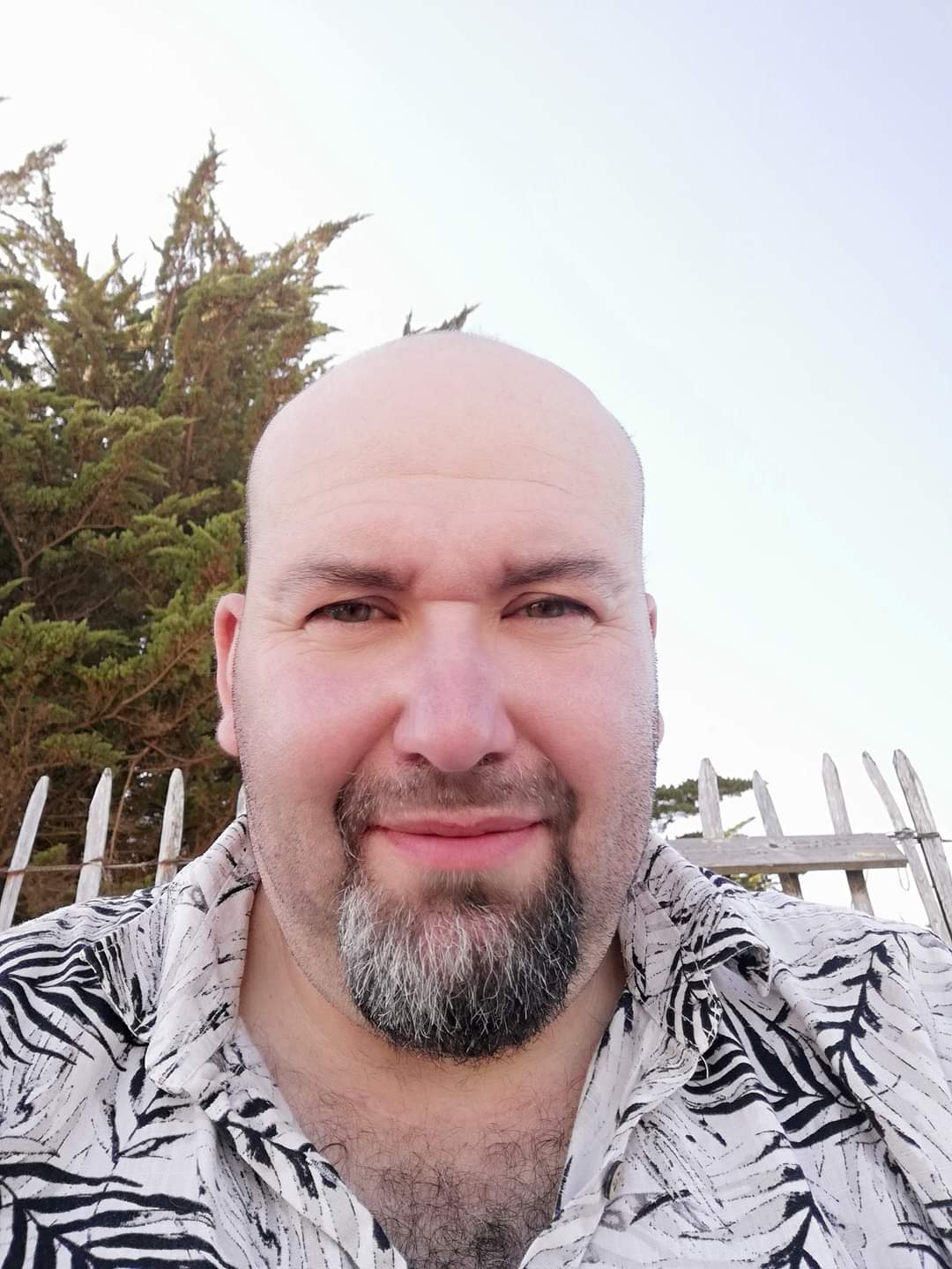 Perfil de Cheick-oumar